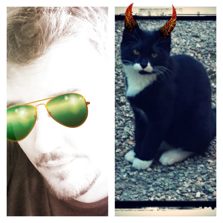 moi et mon chat