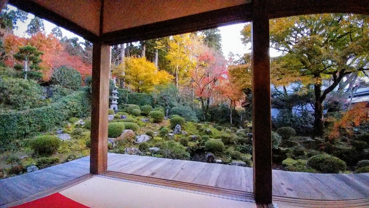 autumn garden