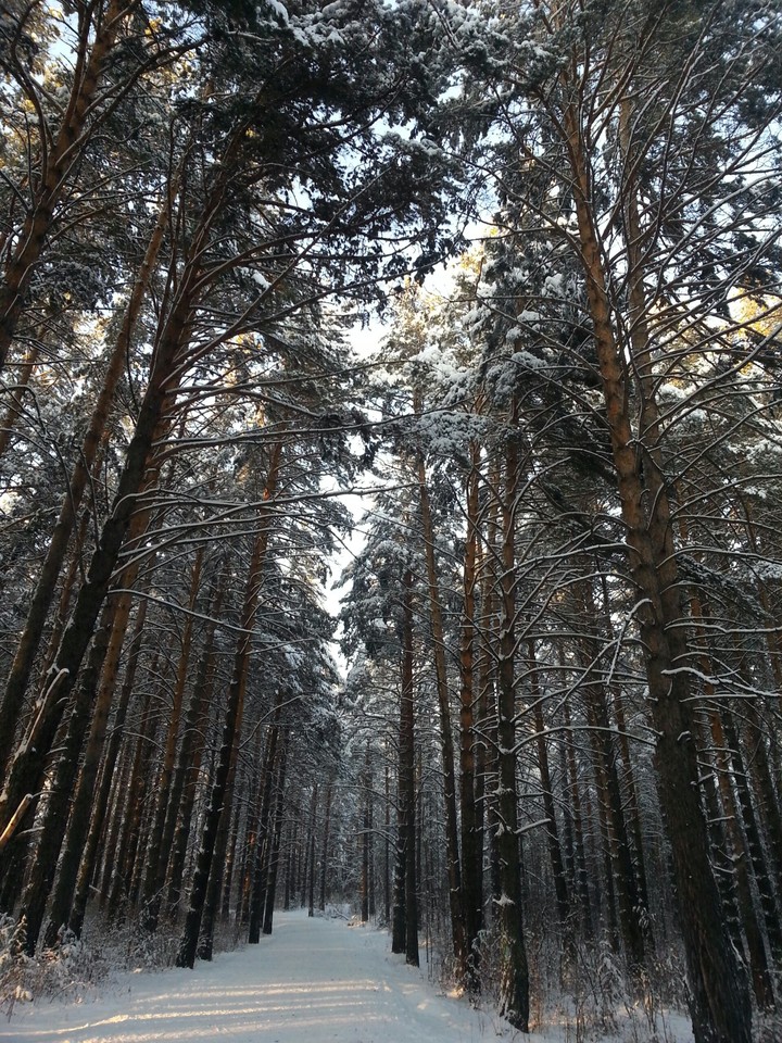 Winter