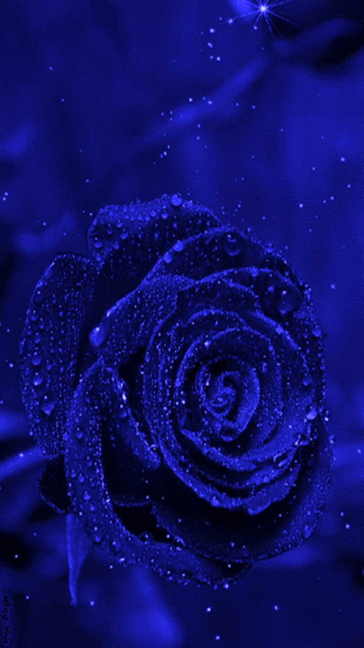 #blue