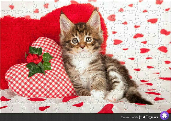 so cute