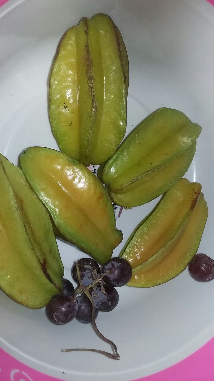 fruit