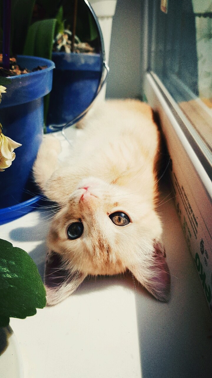 ?