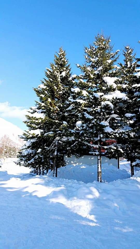 Snow