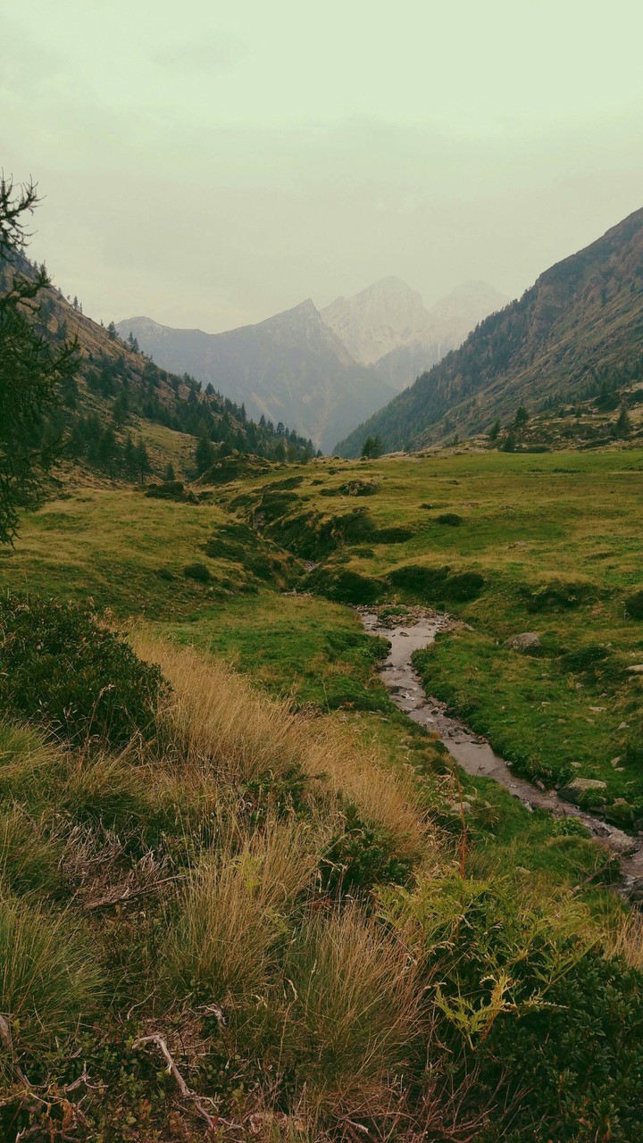 Beautiful landscape