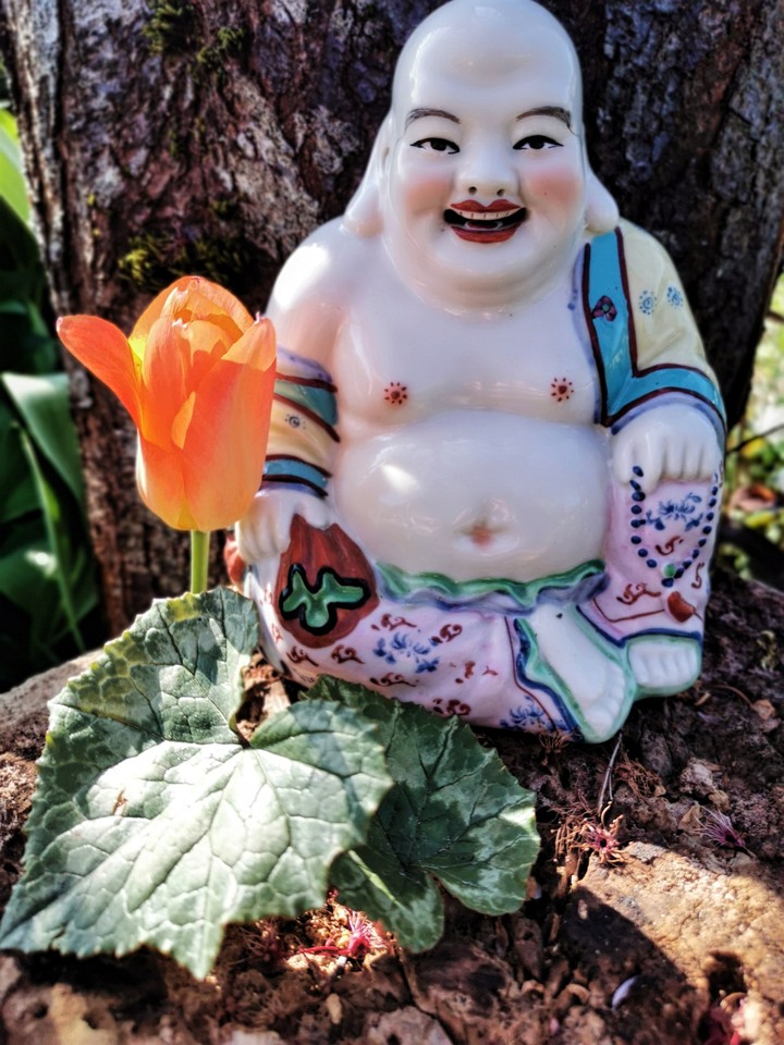 Buddha flower