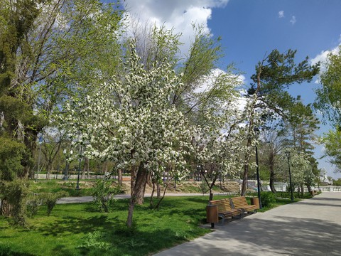spring without human