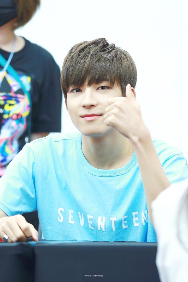 Wonwoo