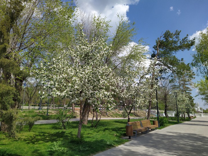 spring without human