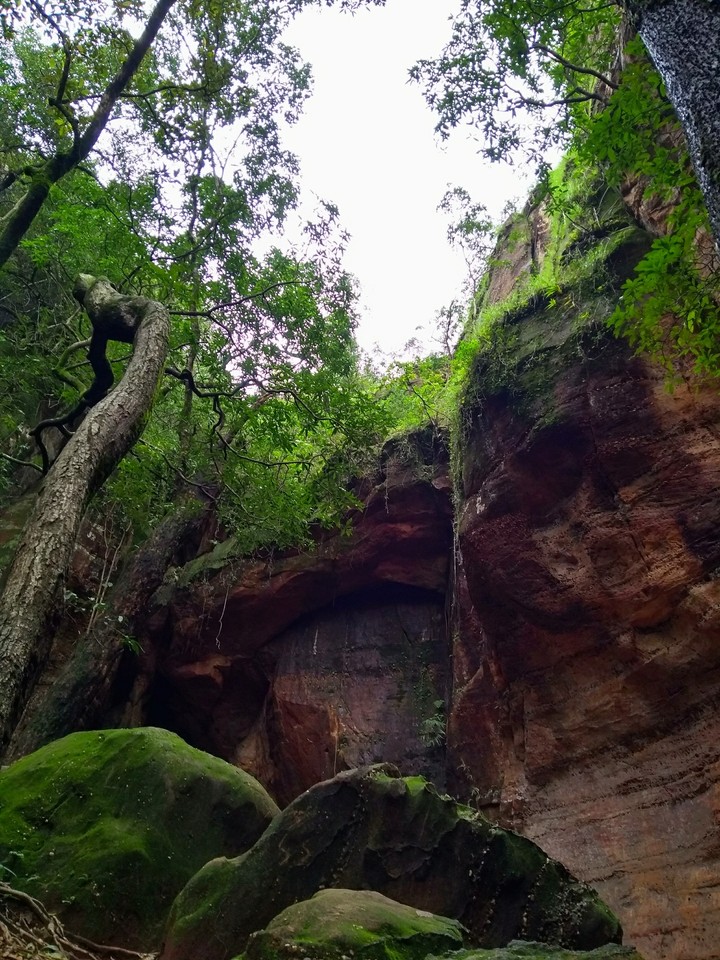 pachmarhi Forest