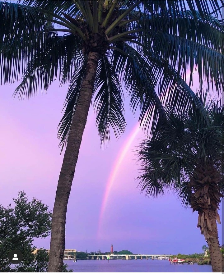 rainbow