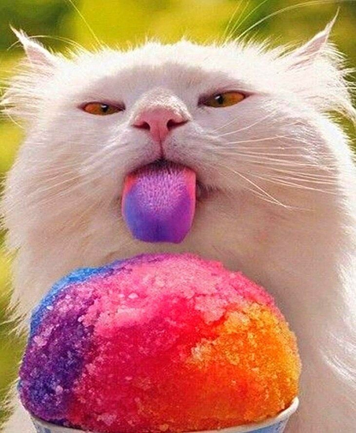 >{}<