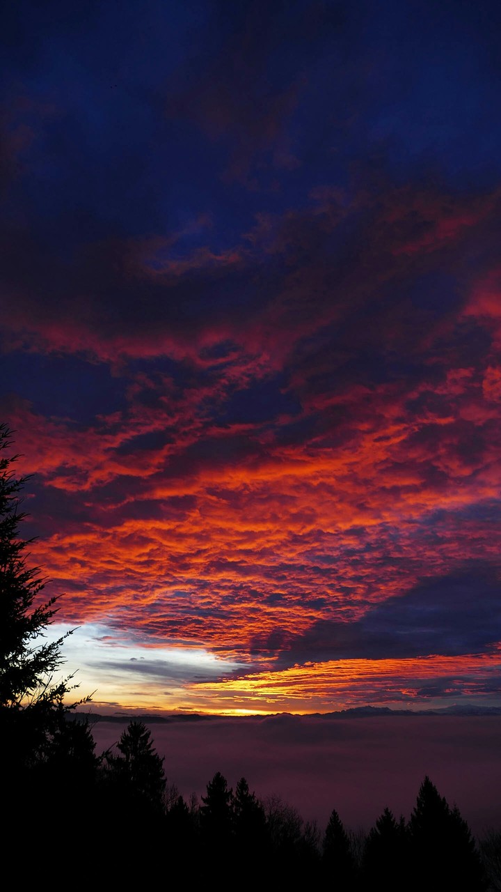 sky during sunset