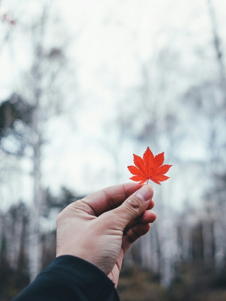 autumn ♡like please♡