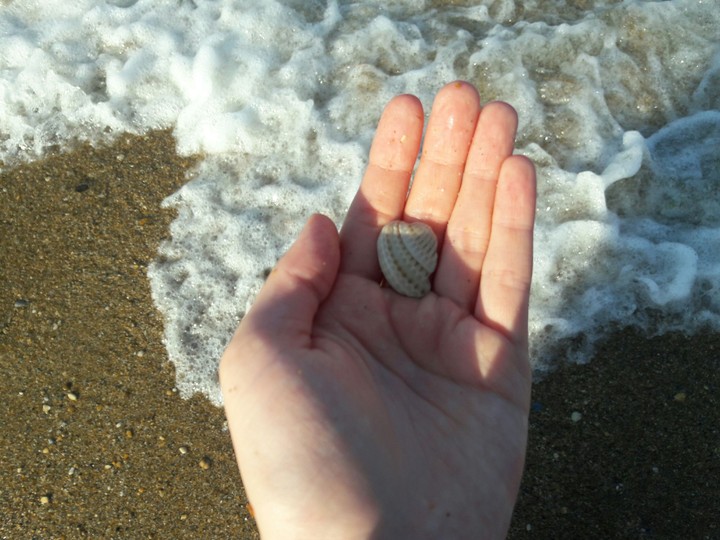 sea