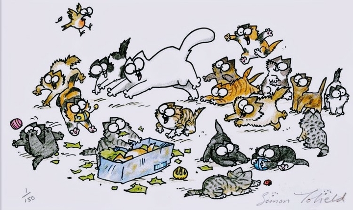 simon ,s Cat