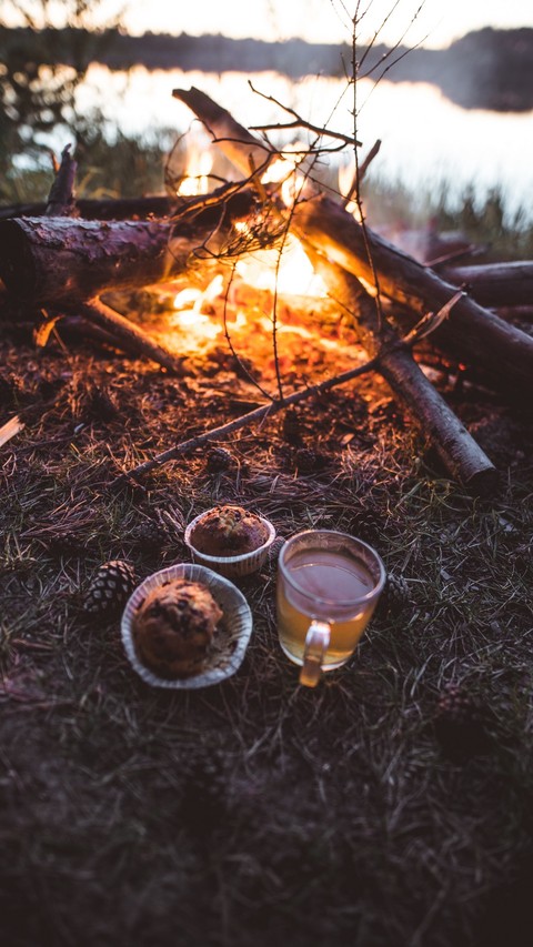Breakfirst in the Nature