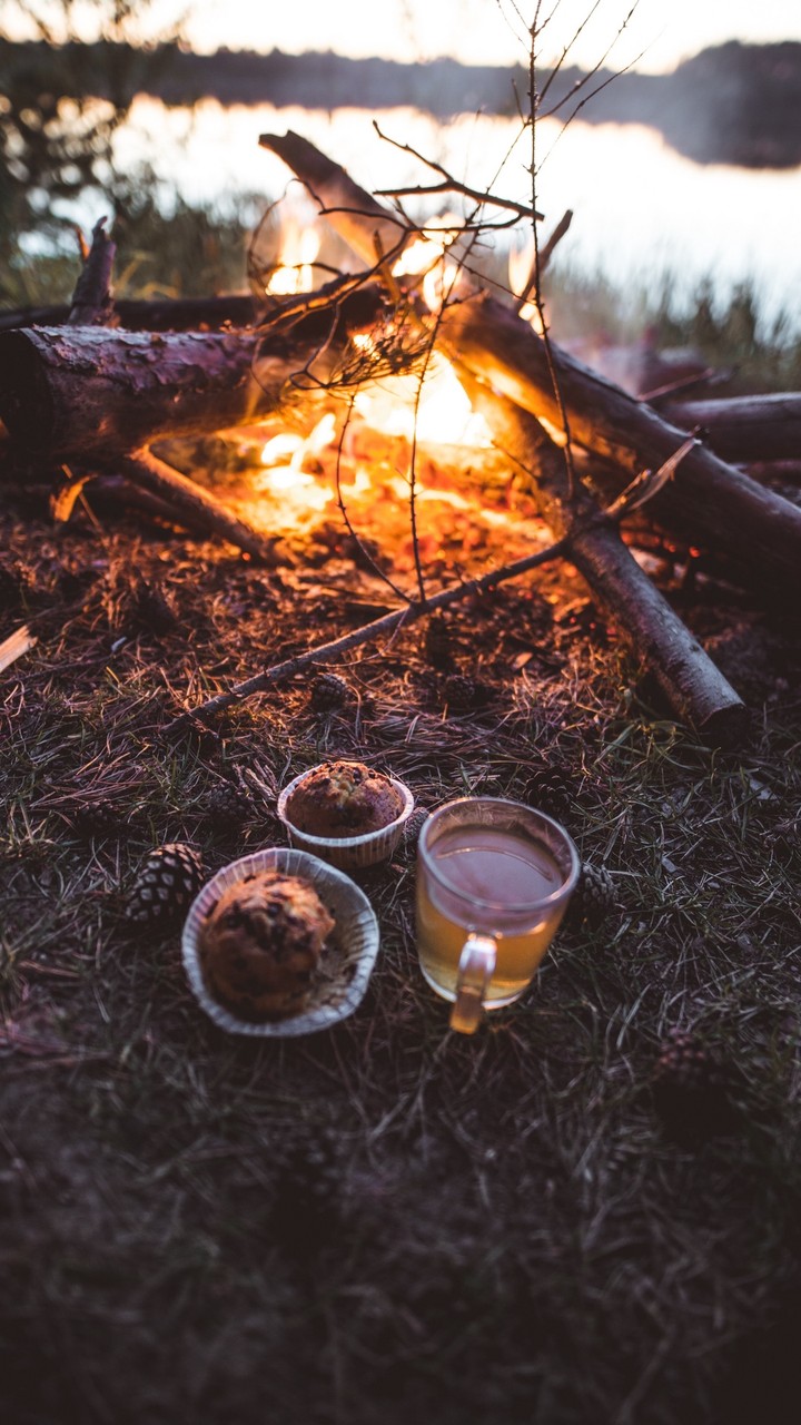 Breakfirst in the Nature
