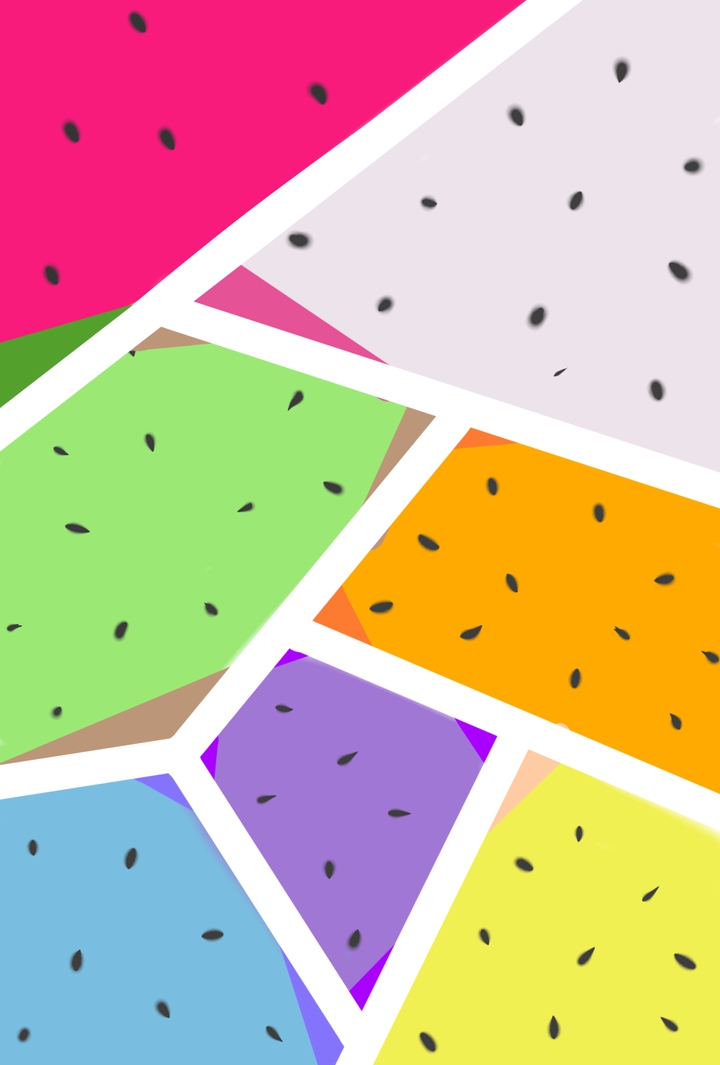 coloured seedy fruits