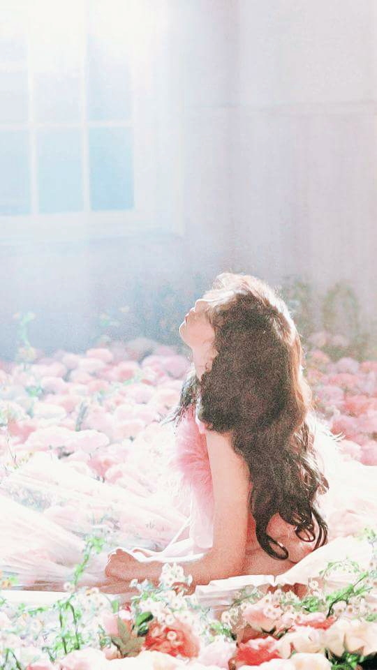 beautiful rose part 2
