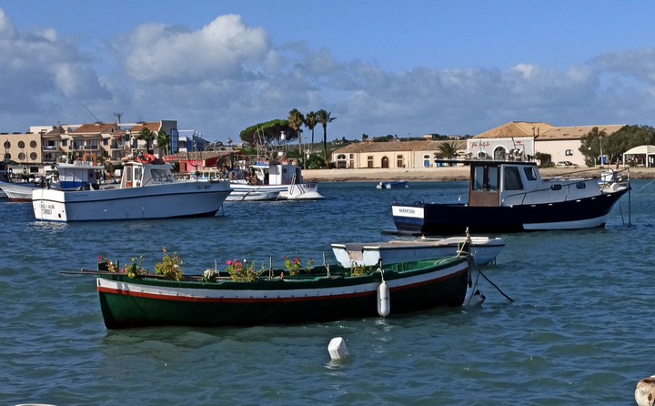 Barca in fiore