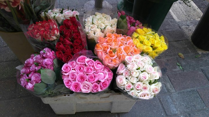 Le rose in colore