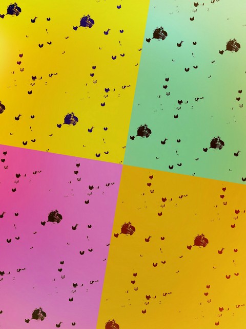 colored quadrilaterals