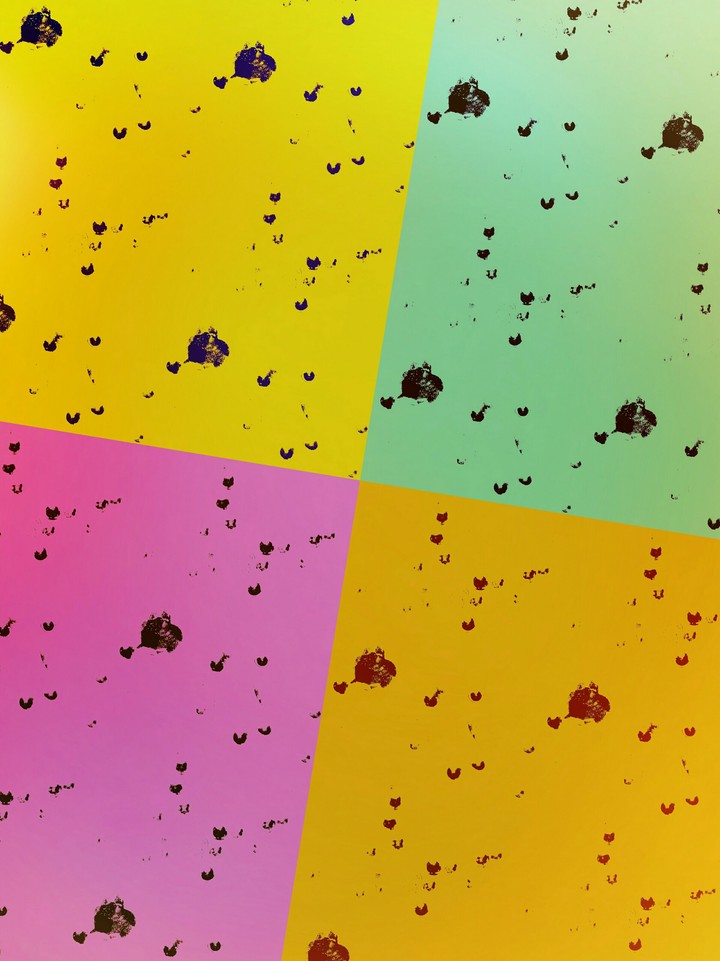 colored quadrilaterals
