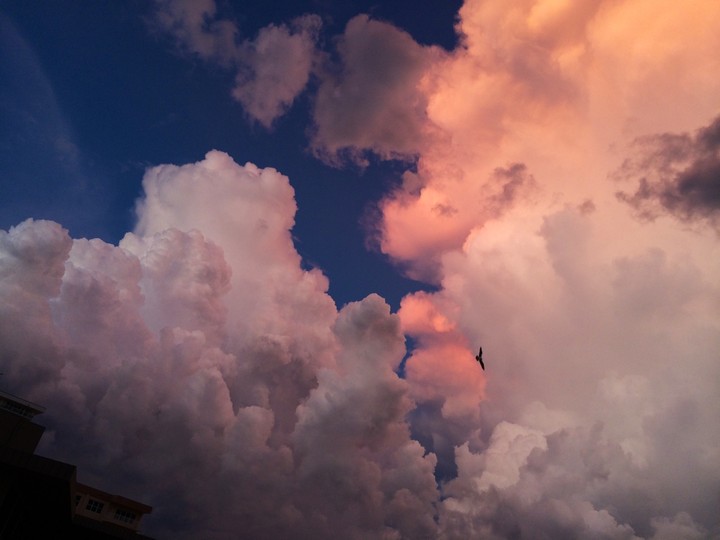 Soaring through the clouds
