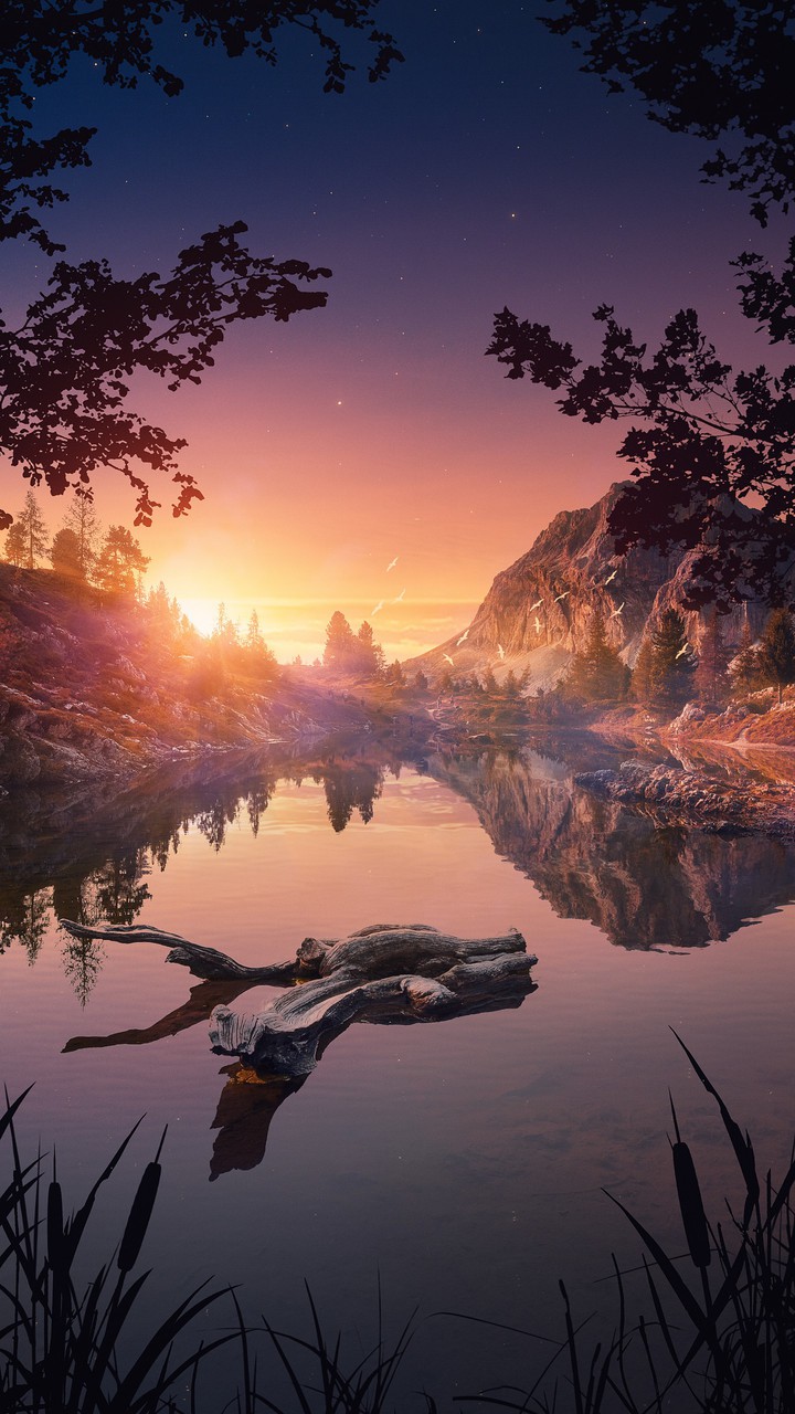 WALLPAPER _ FANTASY