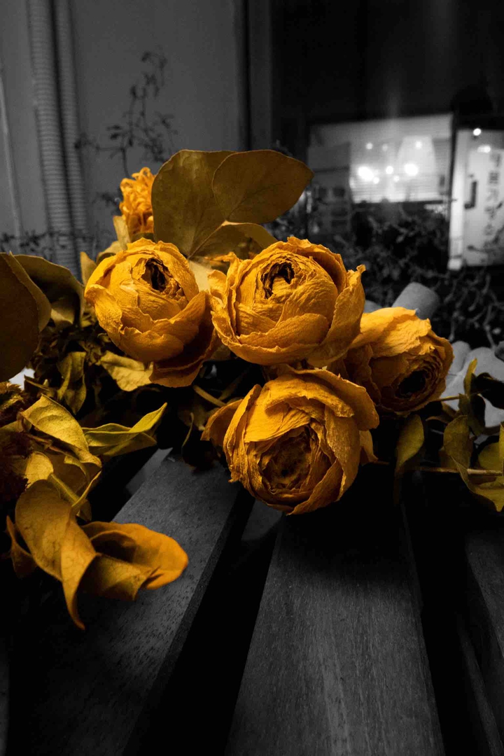 dryflower