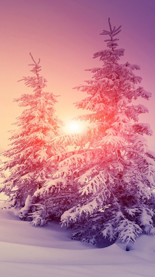 winter