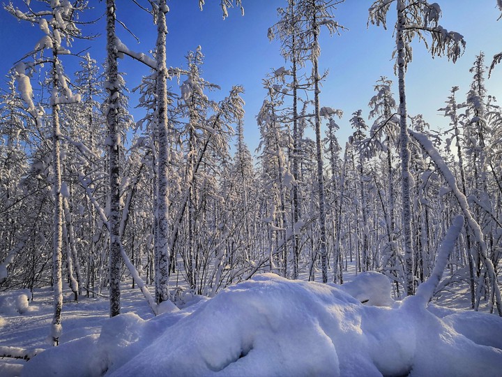 winter in yakutia