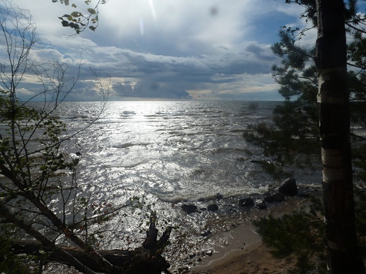 Wonderful landscape