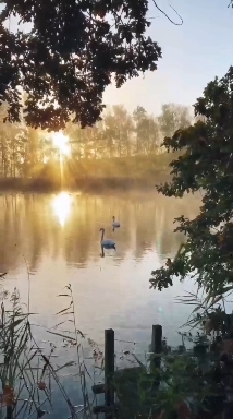 Nature.
