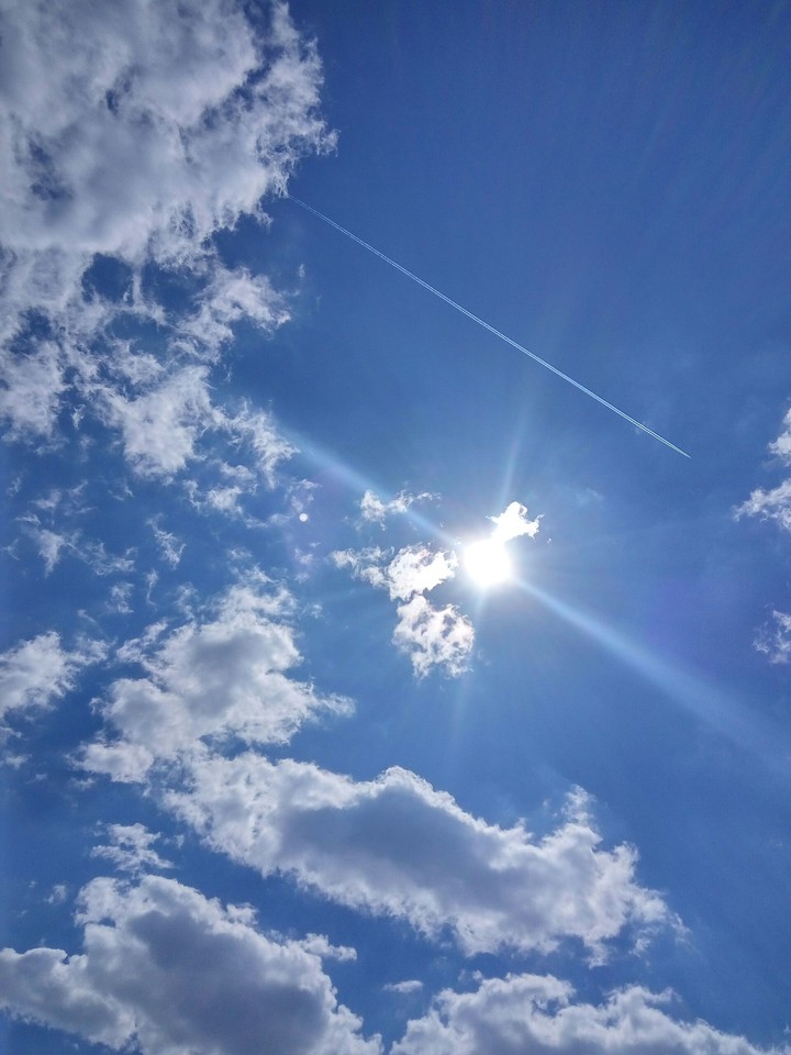 sunny day