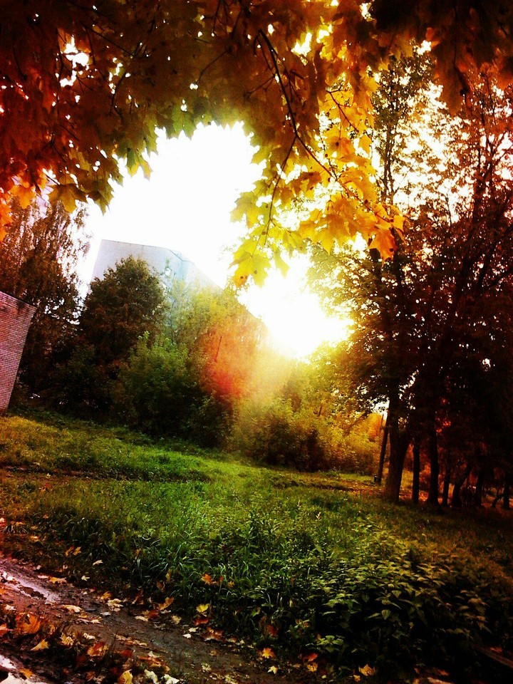 осень