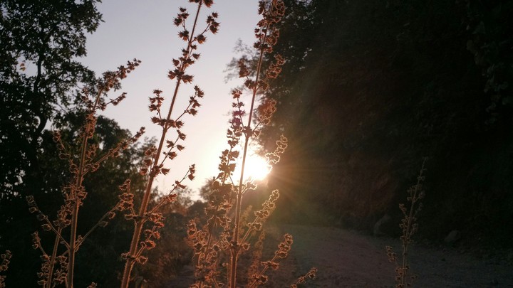 Nature