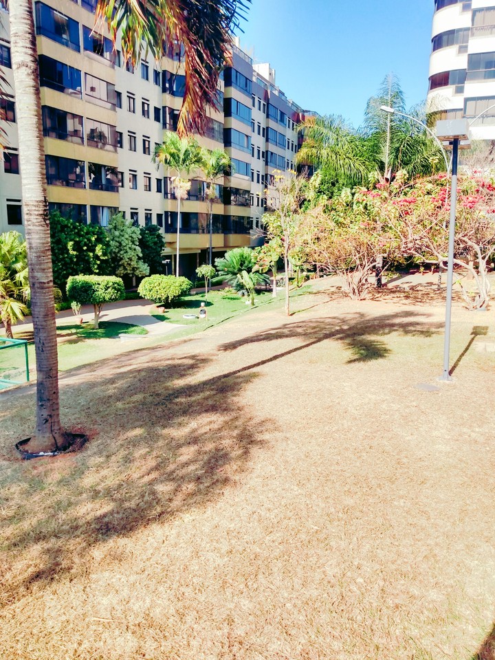 Verde e Cinza.