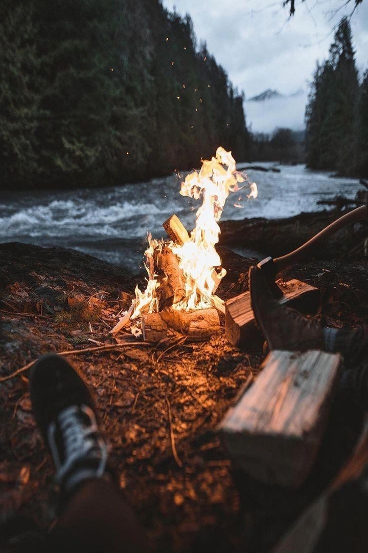 Nature Photography