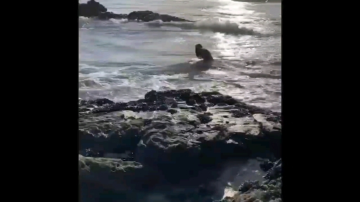 beach photoshoot
