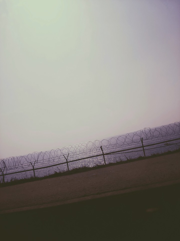 보랏빛 바다