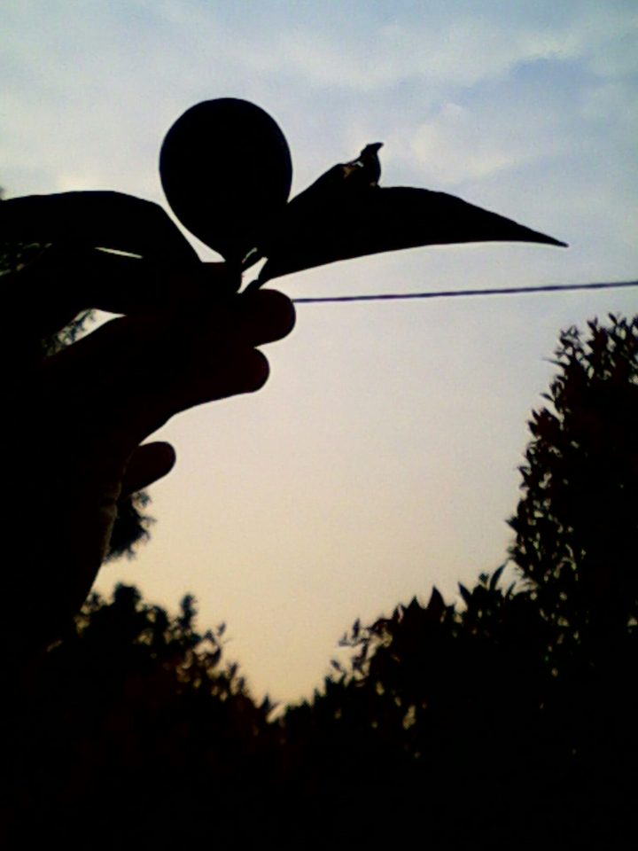 live life