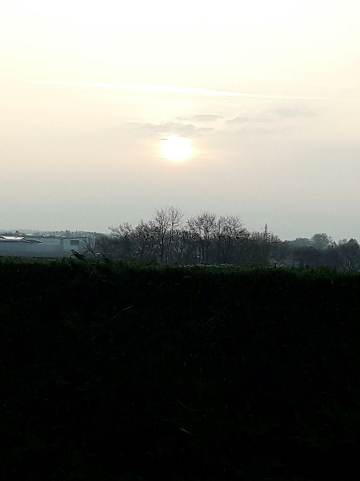 lève soleil