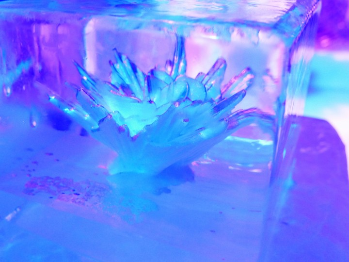 ice flower