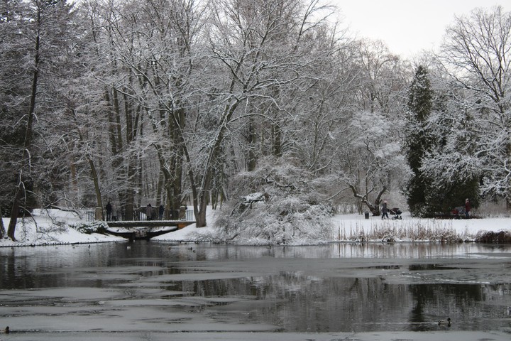 Winter