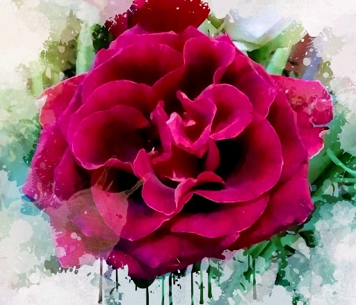color of love