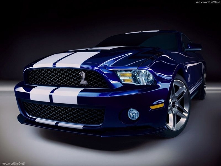 mustang