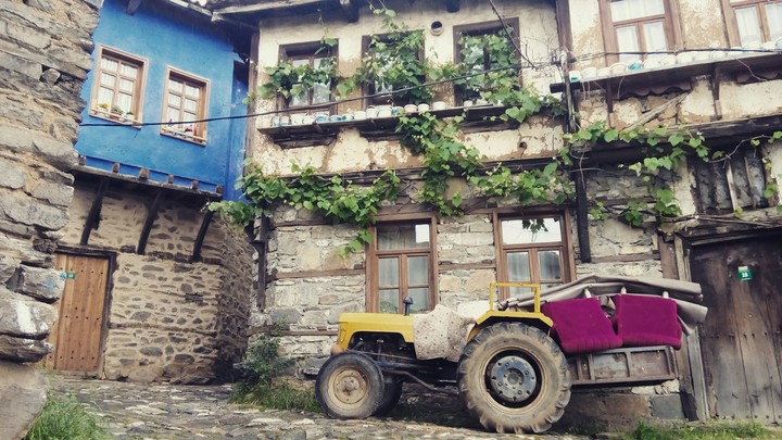 bursa