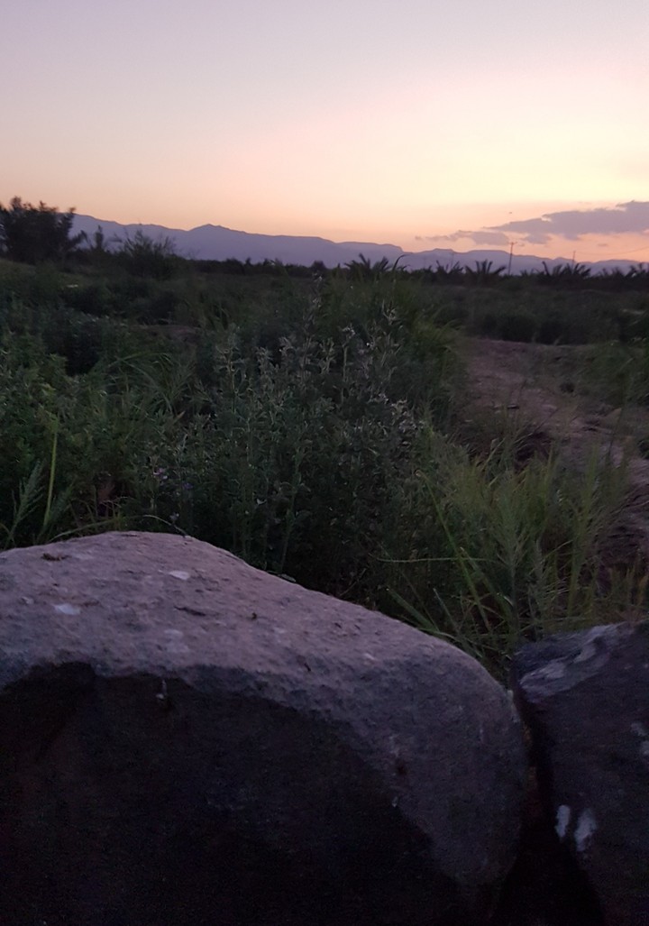 #Sunraise #farm